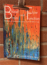 ISBN: 9789039359303 - Title: Blood Flow and Brain Function: Investigations of neurovascular coupling using BOLD fMRI at 7 tesla